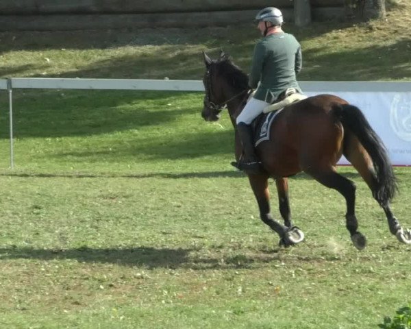 Reitturnier Nußdorf 2019
