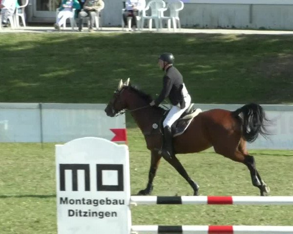 Reitturnier Nußdorf 2019