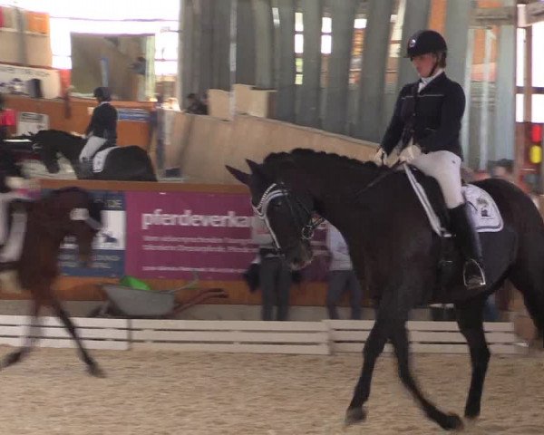 Reitturnier Hof Bettenrode 2019