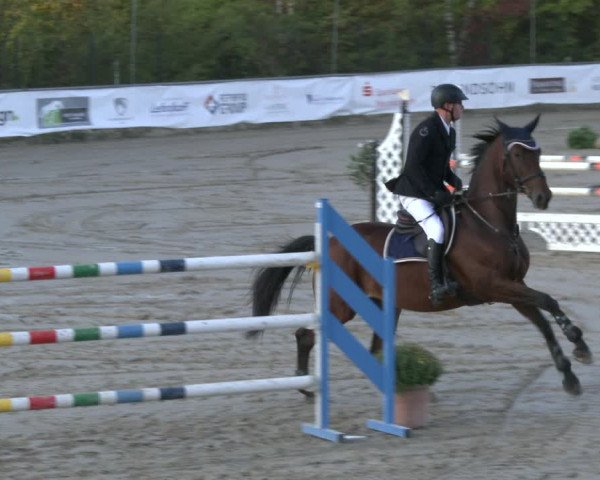 Reitturnier Neunkirchen-City 2019