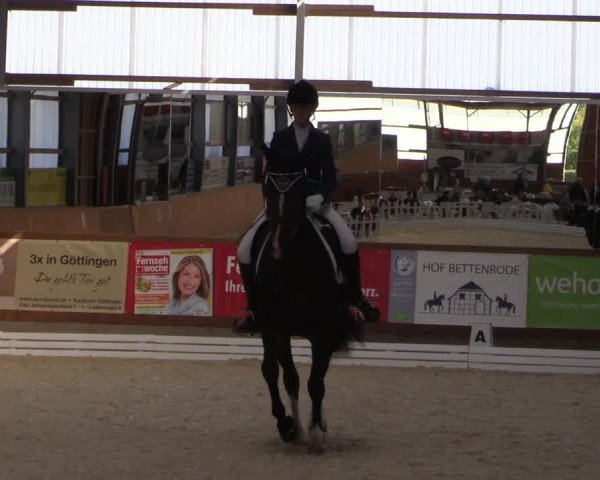 Reitturnier Hof Bettenrode 2019