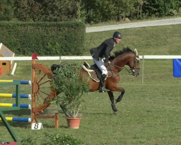 Reitturnier Nußdorf 2019