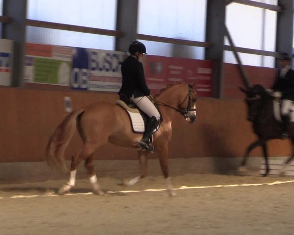 Reitturnier Hof Bettenrode 2019