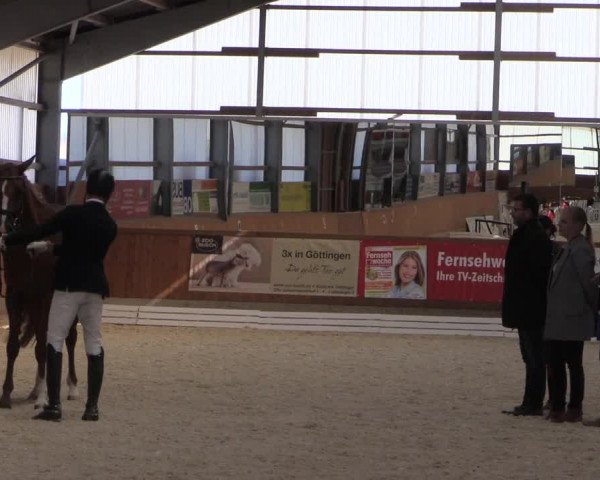 Reitturnier Hof Bettenrode 2019