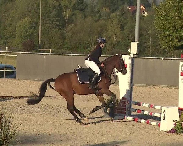 Reitturnier Küps/Ofr. 2019