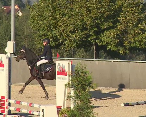 Reitturnier Küps/Ofr. 2019