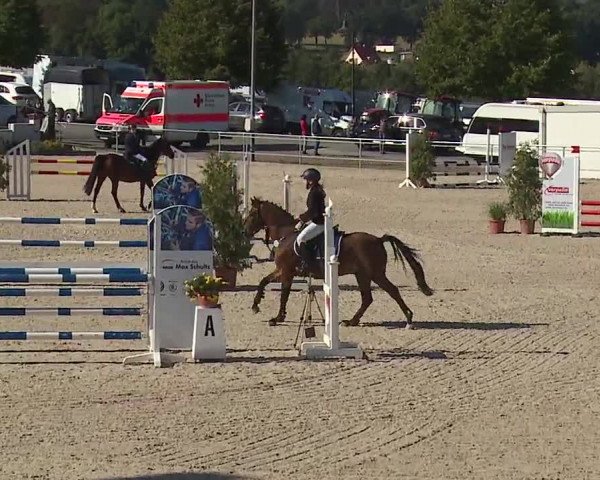Reitturnier Küps/Ofr. 2019