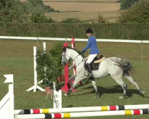 Reitturnier Nußdorf 2019
