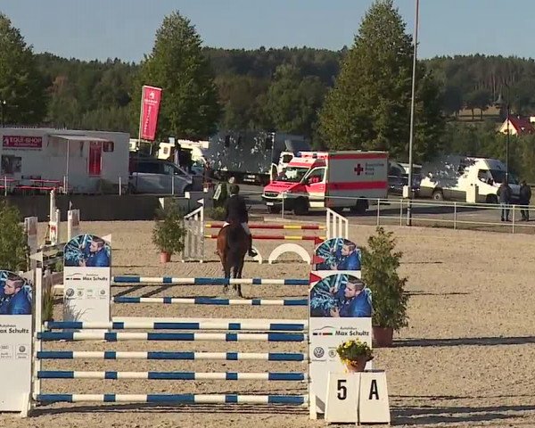 Reitturnier Küps/Ofr. 2019