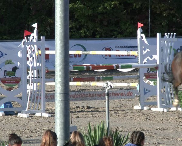 Reitturnier Neunkirchen-City 2019