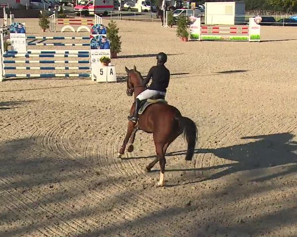 Reitturnier Küps/Ofr. 2019