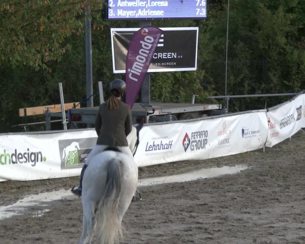 Reitturnier Neunkirchen-City 2019