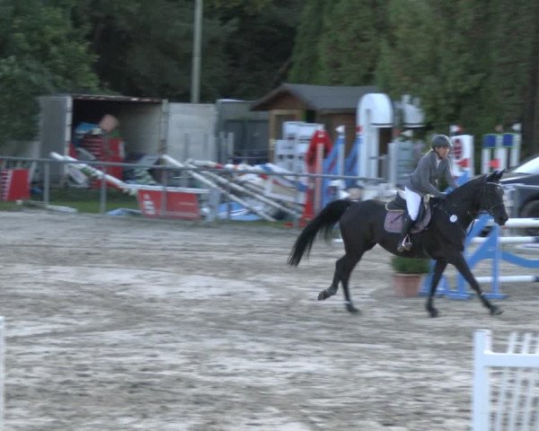 Reitturnier Neunkirchen-City 2019