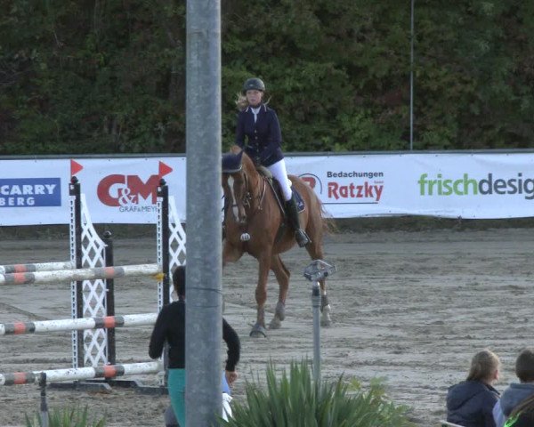 Reitturnier Neunkirchen-City 2019