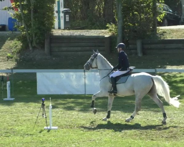 Reitturnier Nußdorf 2019