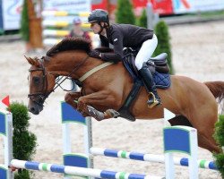 broodmare Caitriona (Holsteiner, 2010, from Lord Z)