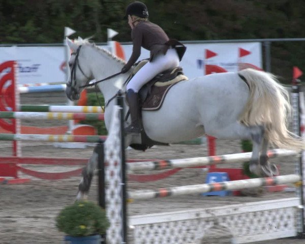 Reitturnier Neunkirchen-City 2019