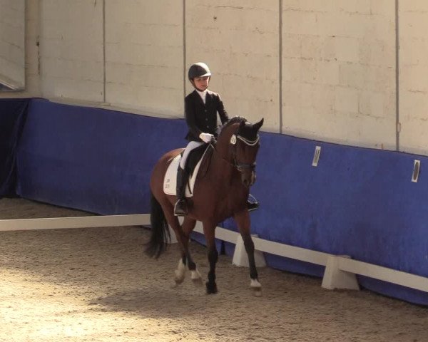 Reitturnier Pforzheim 2019