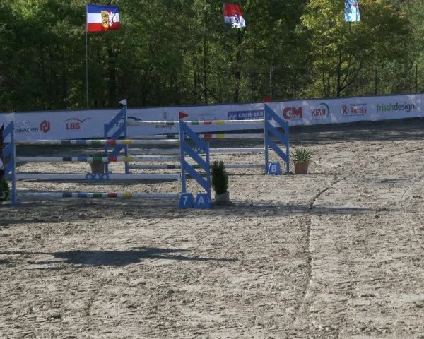 Reitturnier Neunkirchen-City 2019