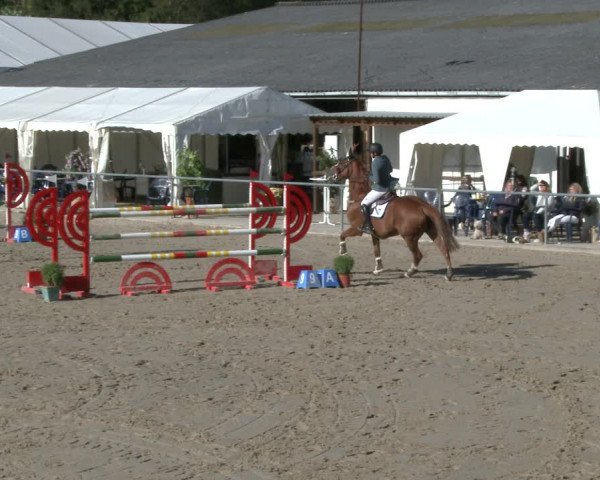 Reitturnier Neunkirchen-City 2019