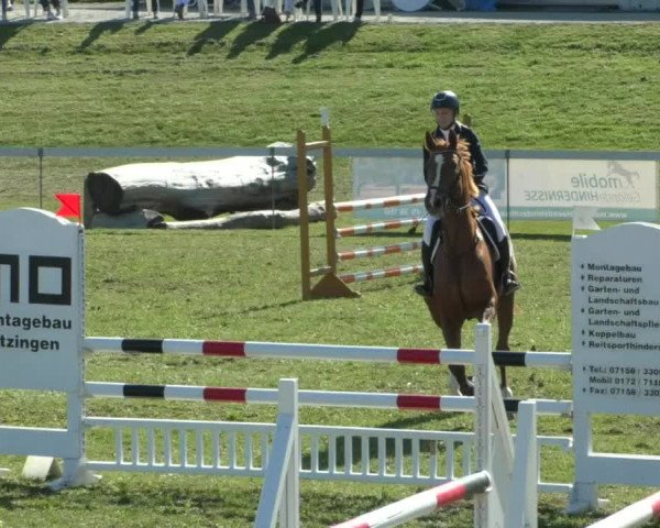 Reitturnier Nußdorf 2019