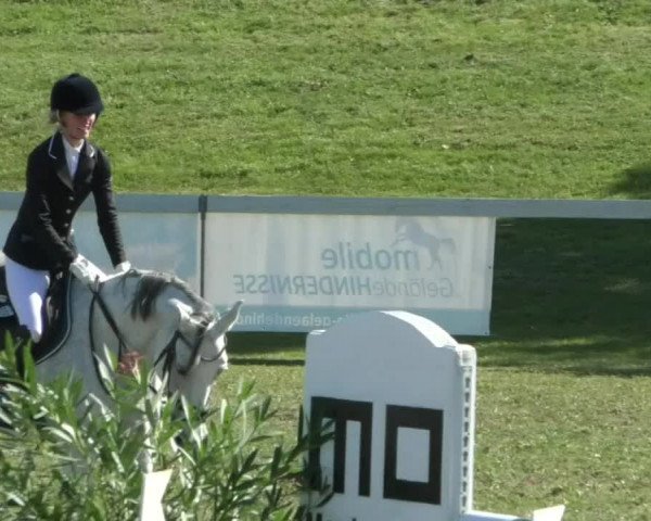 Reitturnier Nußdorf 2019