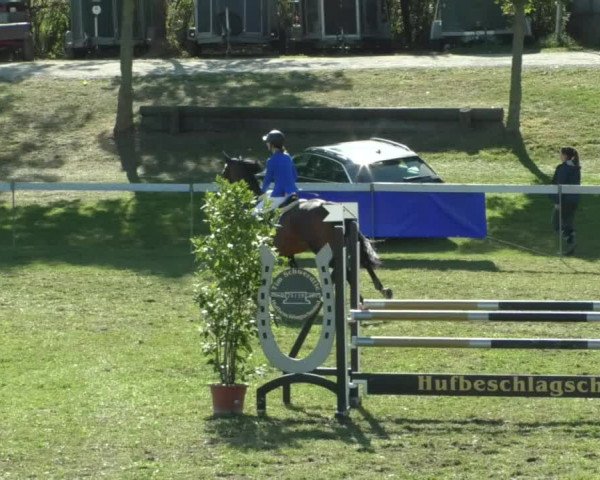 Reitturnier Nußdorf 2019
