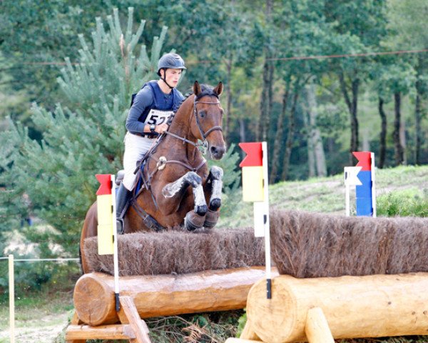 Pferd Mage Mail (Selle Français, 2000, von Espri)