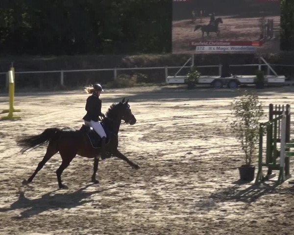 Reitturnier Köln-Leverkusen 2019
