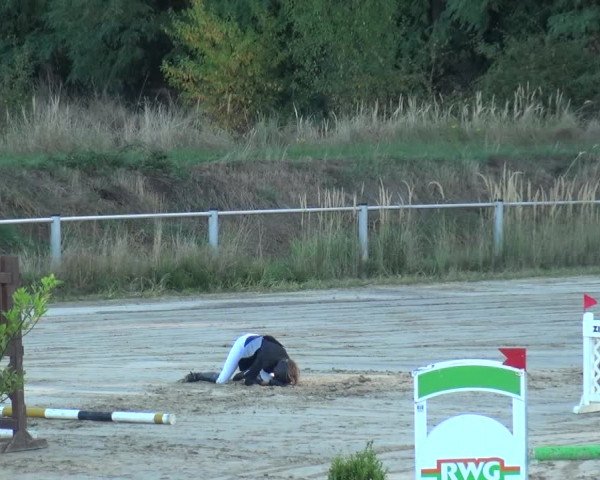 Reitturnier Köln-Leverkusen 2019