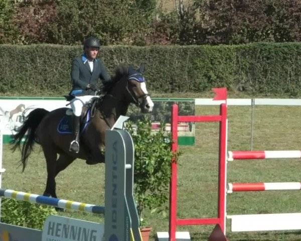 Reitturnier Nußdorf 2019