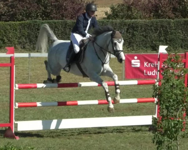 Reitturnier Nußdorf 2019
