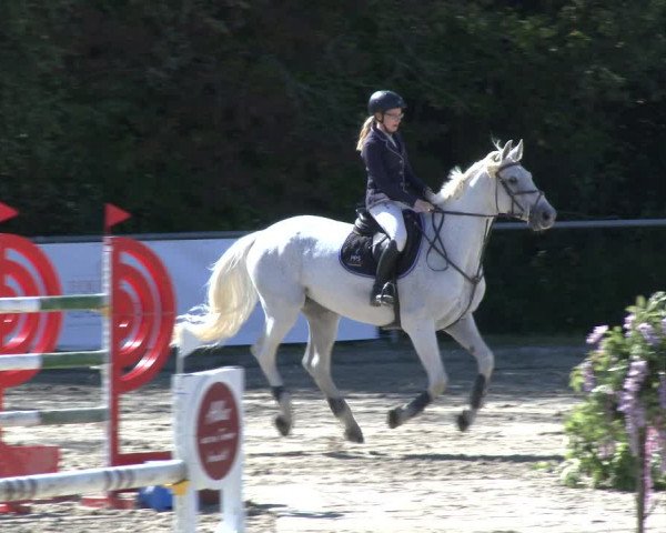 Reitturnier Neunkirchen-City 2019