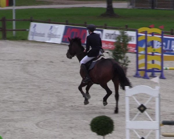 Reitturnier Westergellersen 2021