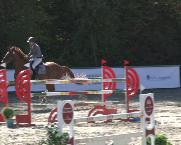 Reitturnier Neunkirchen-City 2019