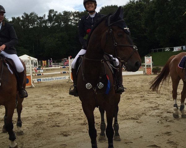 jumper Dolandro (KWPN (Royal Dutch Sporthorse), 2008, from Colandro)