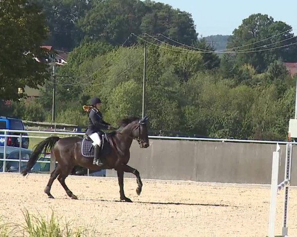 Reitturnier Küps/Ofr. 2019