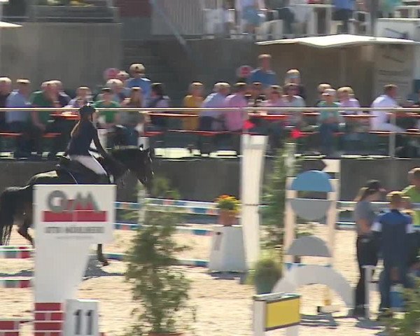 Reitturnier Küps/Ofr. 2019