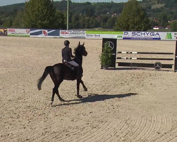 Reitturnier Küps/Ofr. 2019