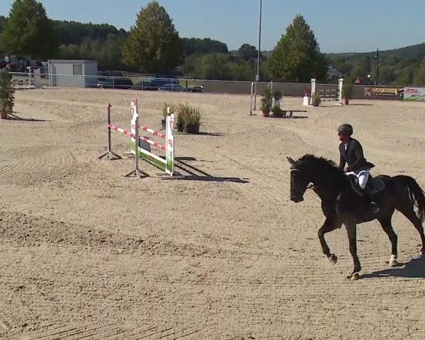 Reitturnier Küps/Ofr. 2019