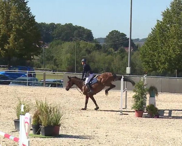 Reitturnier Küps/Ofr. 2019