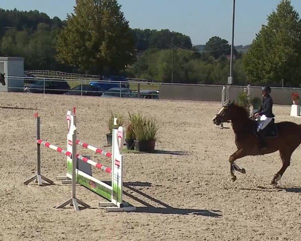 Reitturnier Küps/Ofr. 2019