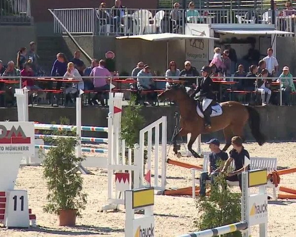 Reitturnier Küps/Ofr. 2019