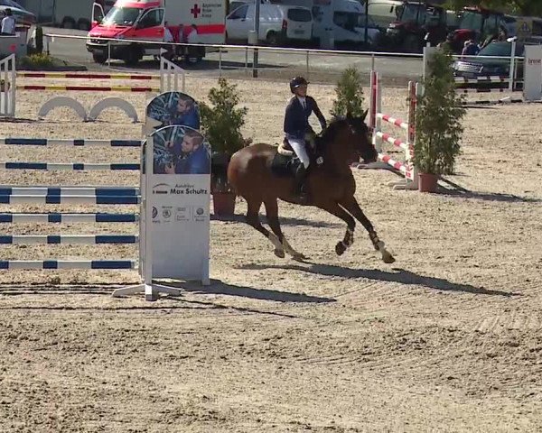 Reitturnier Küps/Ofr. 2019