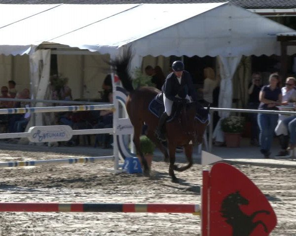 Reitturnier Neunkirchen-City 2019