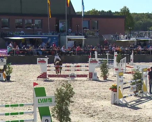 Reitturnier Küps/Ofr. 2019