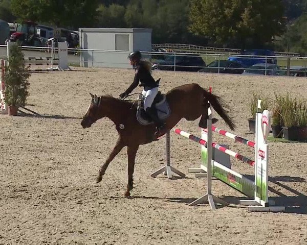 Reitturnier Küps/Ofr. 2019