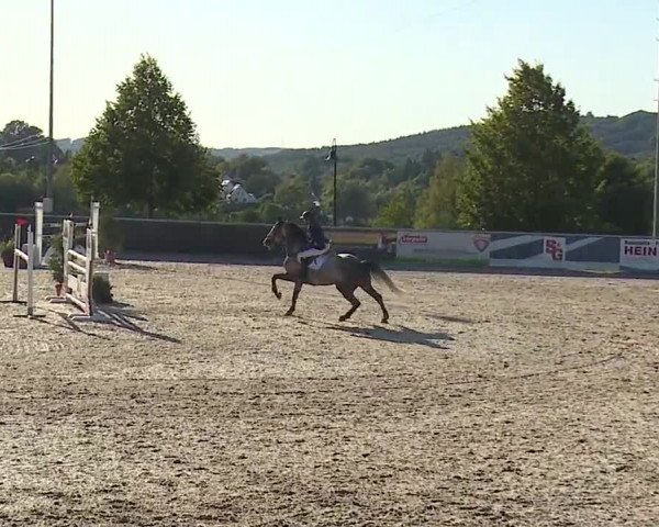 Reitturnier Küps/Ofr. 2019