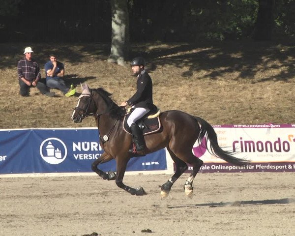 Reitturnier Pforzheim 2019
