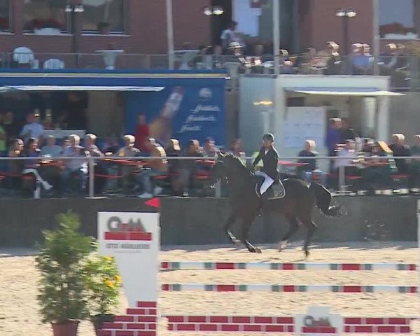 Reitturnier Küps/Ofr. 2019